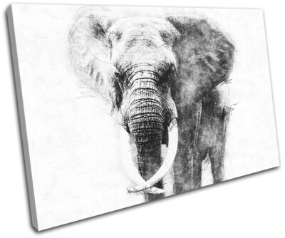 Poster Toile éléphant Monochrome Art Abstrait - Bold Bloc Design Neuf