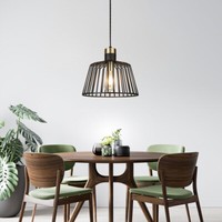 Decken Pendel Lampe Wohn Raum HäNge Strahler KäFig Design Leuchte Schwarz Gold