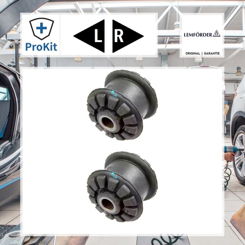 Lemförder 31173 01 Radlagergehäuse - Für BMW X5 X6