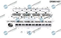 Dr.Motor Automotive Zylinderkopf U.A. FüR Fiat, Iveco