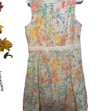 Calvin Klein Multicolor Floral Eyelet Sleeveless Fit and Flare Dress Size 14