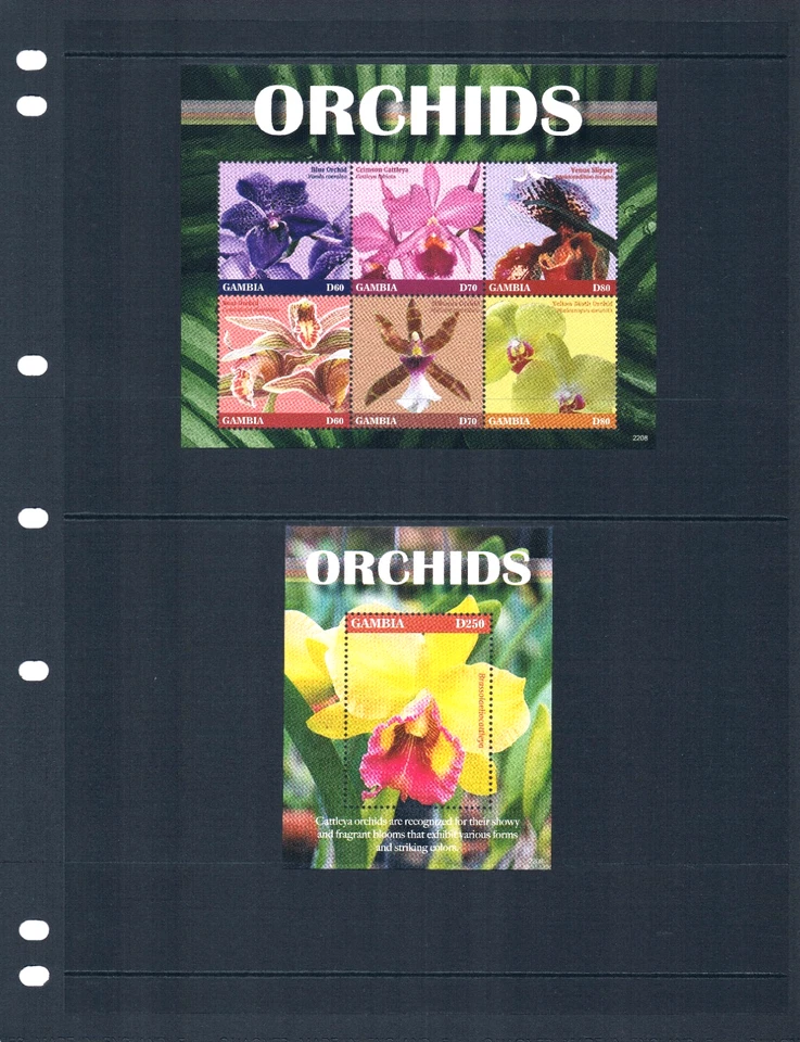 $24.75 Scott Value - 2022 GAMBIA Flores Orquídeas 2 s/s African CV MNH NH UMM Foto 2 de 4