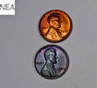 1954-D+1955 Lincoln Wheat Penny Cent Set/Lot ~ Gem BU Toned ~ ZWL75