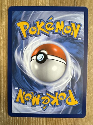 Lileep 005/142 Stellar Crown Reverse Holo Pokemon Card NM | eBay