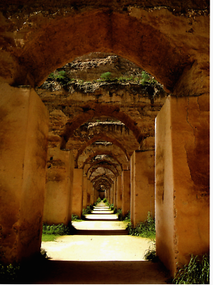 Wild Sultan Casino Image