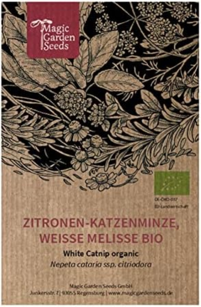 Erba gattaria limone (Nepata cataria ssp. citriodora) biologica - circa 100 semi