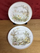 Polly-Anna Fine Bone China Plate Small Floral Display Plates x 2 Gold Edging