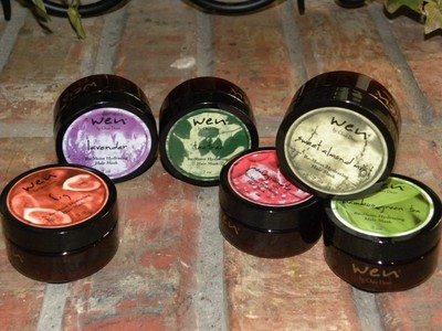 Wen Hair Care Re Moist Hydrating Mask 2oz Chaz Dean Remoist