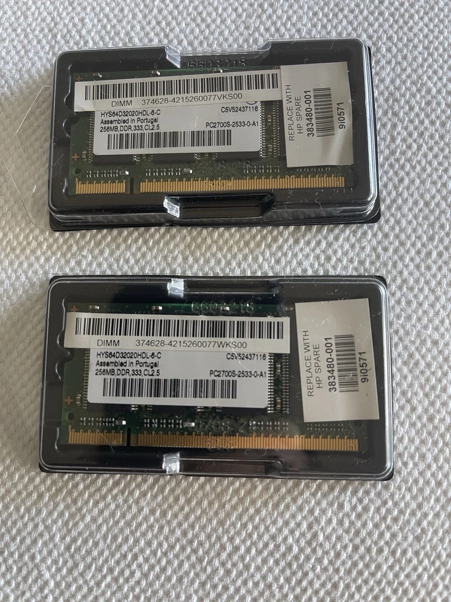 PC-2700 (DDR-333) Bus Speed DDR3 SDRAM 256 MB Capacity per Module