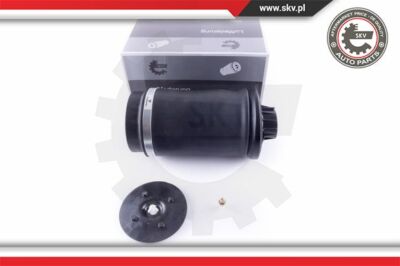 Esen SKV 58SKV020 air spring, suspension for Mercedes-Benz