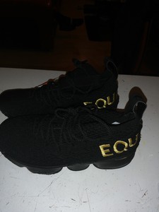 lebron 15 equality black