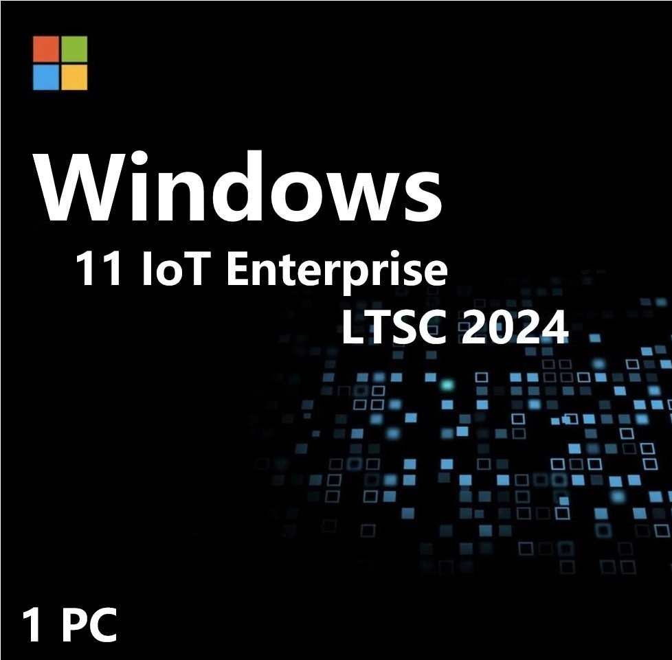 Windows 11 IoT Enterprise LTSC 2024 High End 1 PC Use For Single Device ✔ USB