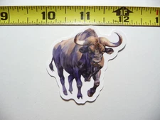 AFRICAN CAPE BUFFALO SMALL STICKER DECAL WILDLIFE PRESERVE NATURE ANIMAL