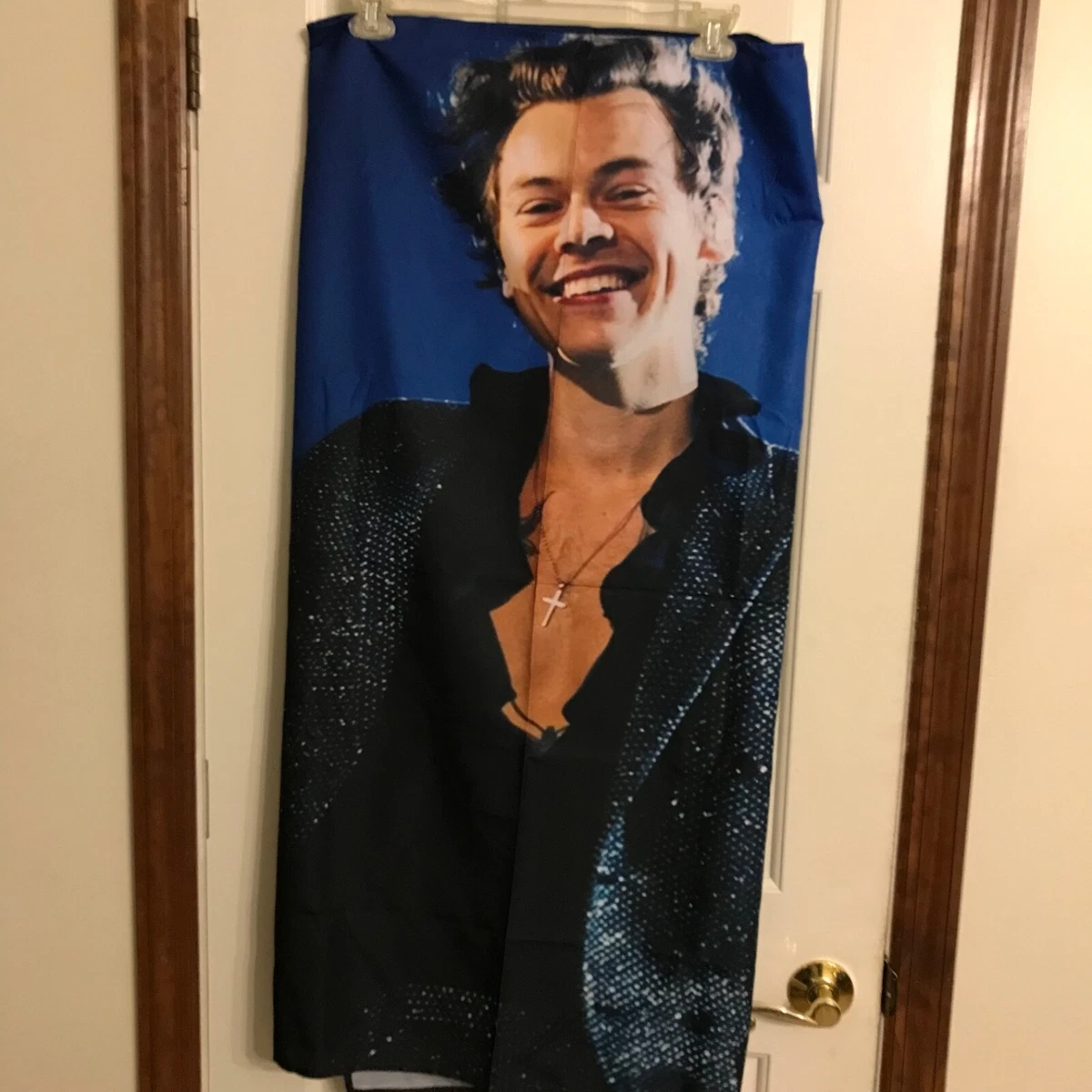 Harry Styles Wall Hanging Art 60 X 40 Brand New W Attachments New