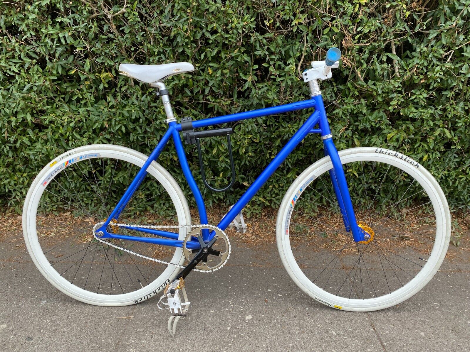 Bicycle, single speed, custom, fixed gear, fixie, Affinity, 55cm eBay
