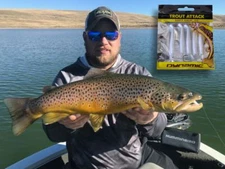 Fishing Lures - Dynamic Lures TROUT ATTACK, Multiple Color Patterns