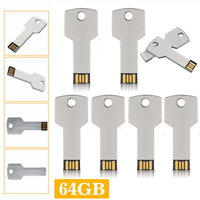 1x 2x 3x 5x 10x 64GB Metal Key USB Flash Drive Memory Stick USB2.0 Pen Drive LOT