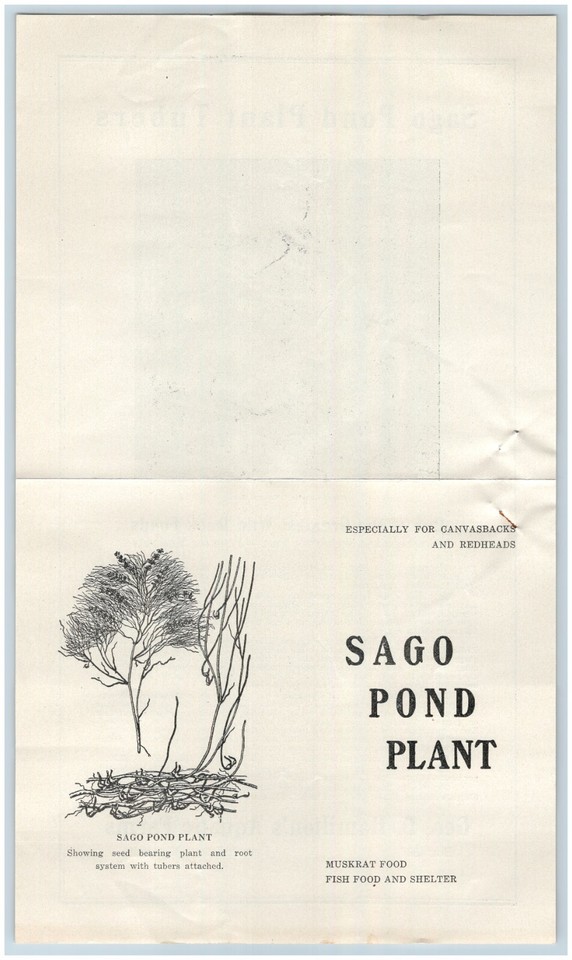 1920s NOS LOT Geo Hamilton Aquatic Farm Duck Hunt Detroit Lakes MN