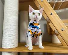Devon Rex Sweatshirt Hairless Cat Disney Short Sleeve Style Clothing for Sphynx