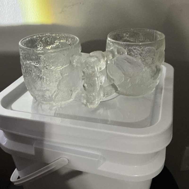 Set of 2 Clear Glass Embossed Animal-Themed Mugs with Handles