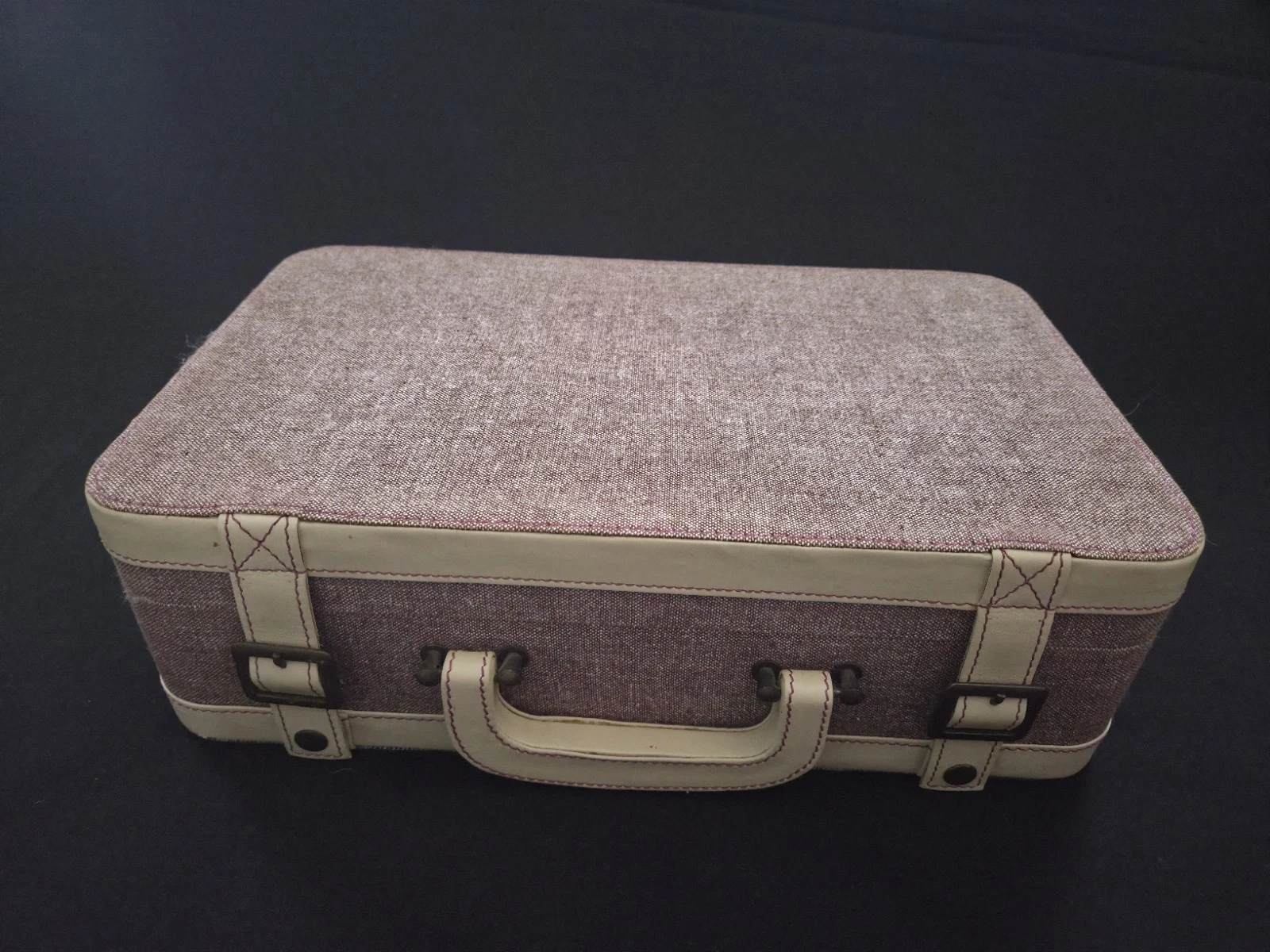 Vtg Tweet Suitcase Style Cosmetic/Paint Organizer Internal Compartments