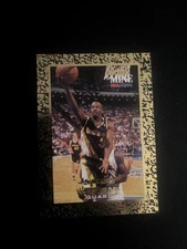 1994-95 NBA Hoops - Haywoode Workman #438