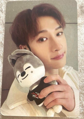 Stray Kids 樂-star KMS 特典トレカ　skzoo　コンプリート Stray Kids Bang Chan 樂 STAR ROCK STAR KMS KMSTATION SKZOO