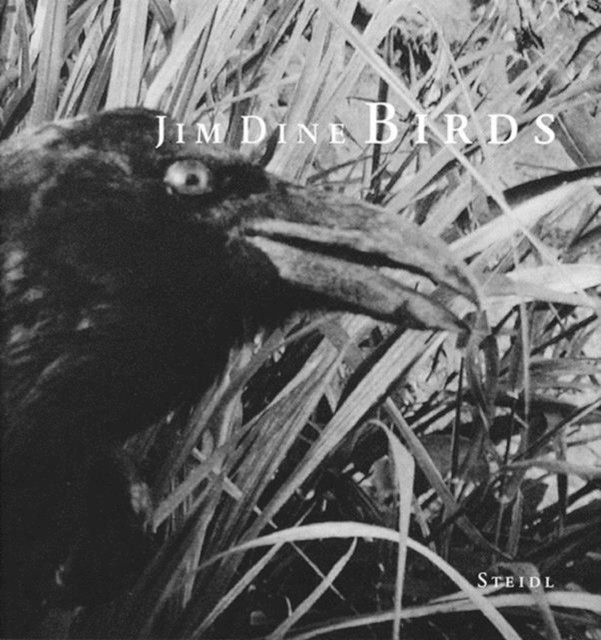 Jim Dine: Birds HARDBACK 9783882432404