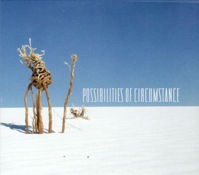 Possibilities Of Circumstance CD 2013 Steve Roach ERIK WOLLO