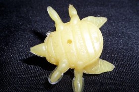 Zeb Nintendo Metroid NES Famicom Choco GID Rubber Eraser Keshi Figure