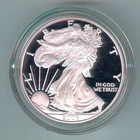 2006-W U.S. SILVER AMERICAN EAGLE - KM#273 - ORIG. MINT BOX, CASE & COA - PROOF