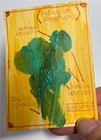 ACEO Original Hand Painted Botanical Illustration Abstract by TheArtsyDispatcher — photo 1