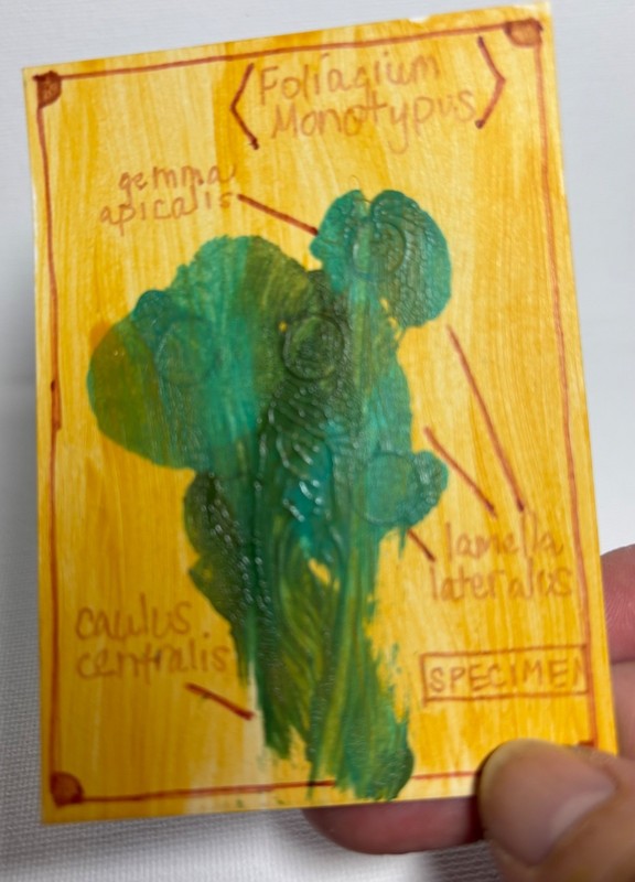 ACEO Original Hand Painted Botanical Illustration Abstract by TheArtsyDispatcher