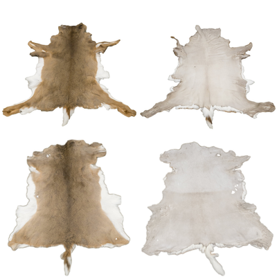 #ad Premium Hair On Deerskin Hide Full Deer Pelt Soft Leather Rug Natural $159.99