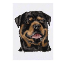 'Rottweiler' Temporary Tattoos / Transfers TO00049320 