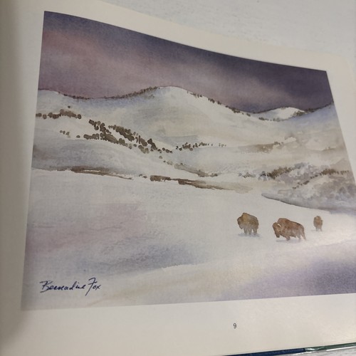 Yellowstone Reflections An Artist’s Inspiration & Canoe Flyer’s Love Song Signed - Picture 6 of 11