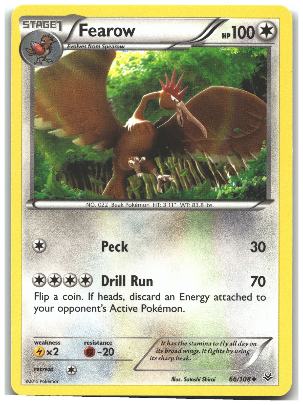 Fearow 66/108 - XY - Roaring Skies - NM