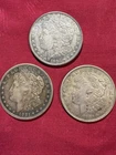 Lot of (3) - ONE (1) 1884 and TWO (2)  1921 Morgan Silver Dollar 90% Circulated