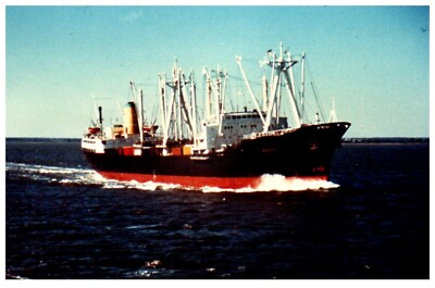 Maria Costa (1958) Cargo Ship Original Photograph VTG 4x6'' c 1970's IMO 5222550