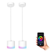 Vora Design Deckenleuchte Weiß 2Er Set Inkl. 2X GX53 Led Smart Home Wifi Rgb
