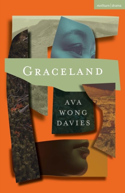 Graceland by Ava  Wong Davies (Paperback Book)