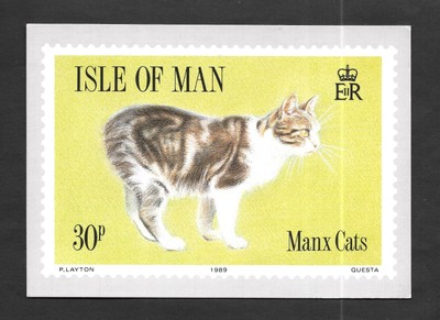 Isle Of Man Postcard Depicting 1989 Commemorative Postage Stamp for Manx Cats