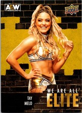 2023 Upper Deck AEW All Elite Wrestling - We Are All Elite TAY MELO