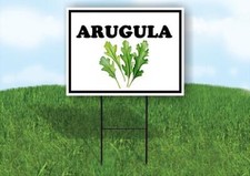 Arugula vegetable 18x24 in Yard Road Sign w/ Stand