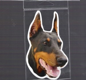 Doberman Pinscher 4 inch face magnet for car or anything metal     New