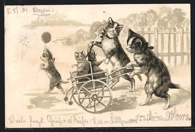 Ansichtskarte Katzenmutter schiebt ihre Kinder in einem Wagen 1901 