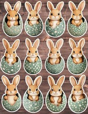 Bunny in Easter Egg Die Cut Vinyl Stickers Set Scrapbooking Laptop Waterbottle