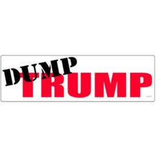 Anti Donald Trump Dump Trump 3x10 Bumper Sticker