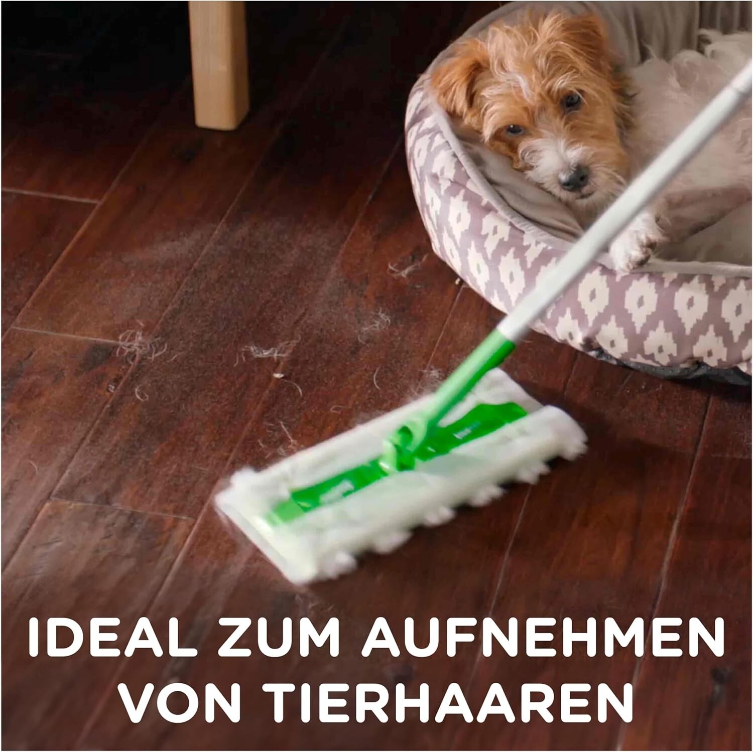 Bild 5 von 11