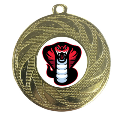 Schlangenmedaille Auszeichnung Cobra Kampfsport Sport Gewinner KOSTENLOSE Bandgravur 1P4T